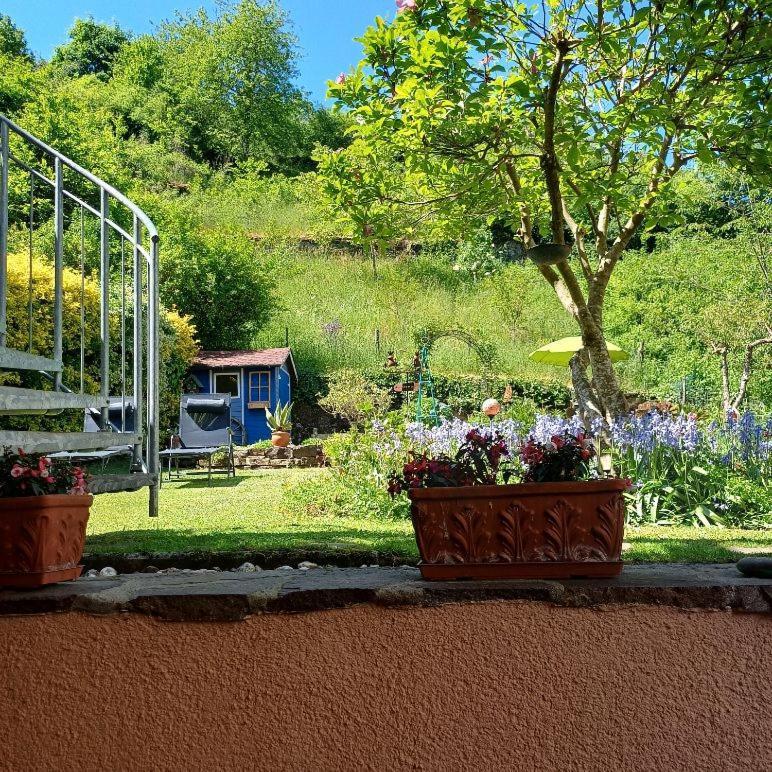 Ferienwohnung Haus Bleser Cochem Kültér fotó